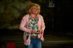Cie La Cerise dans le Gâteau, Spectacle