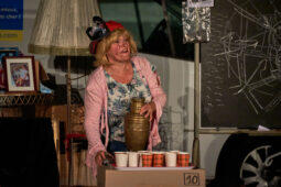 Cie La Cerise dans le Gâteau, Spectacle