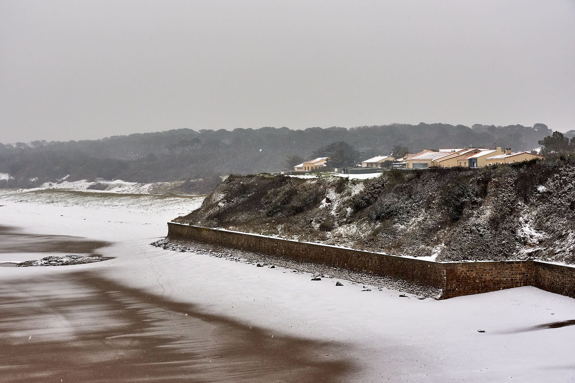 Protégé : Les Dunes sous la neige