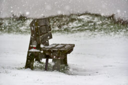 Tourisme, Paysage, Neige, Banc