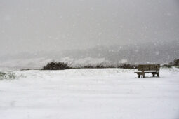 Tourisme, Paysage, Neige, Banc