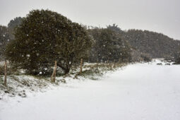 Tourisme, Paysage, Neige
