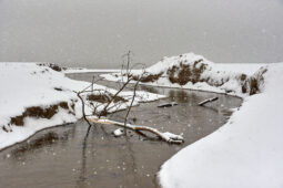 Tourisme, Paysage, Neige, Eau, Sable, Arbre, Branche