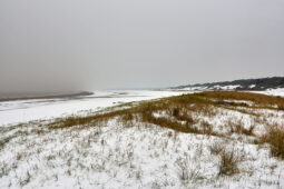 Tourisme, Paysage, Neige, Plage, Sable