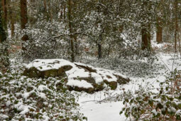 Tourisme, Paysage, Neige, Arbre, Buisson, Menhir, Forêt