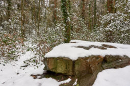 Tourisme, Paysage, Neige, Forêt