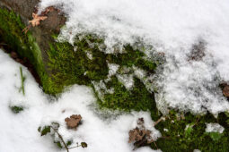 Tourisme, Paysage, Neige, Menhir