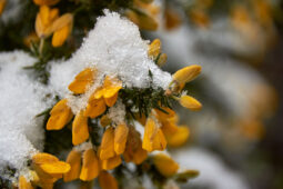 Tourisme, Paysage, Neige