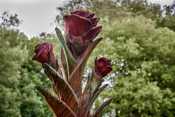 Art, Sculpture