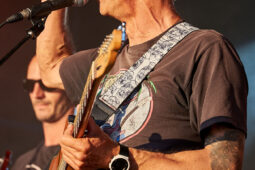 Beach and Roll, Concert