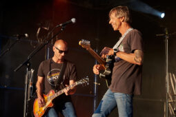 Beach and Roll, Concert