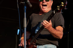 Beach and Roll, Concert