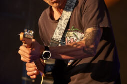 Beach and Roll, Concert
