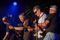 Beach and Roll, Concert