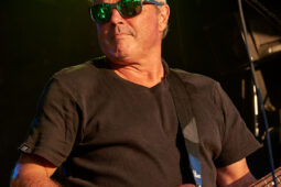 Beach and Roll, Concert