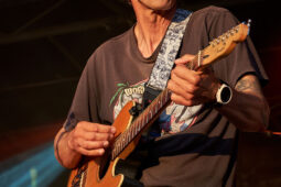 Beach and Roll, Concert