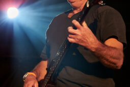 Beach and Roll, Concert