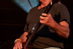 Beach and Roll, Concert