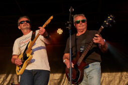Beach and Roll, Concert