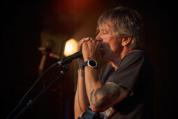 Beach and Roll, Concert