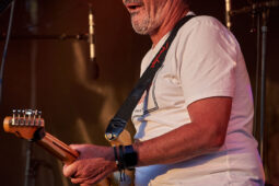 Beach and Roll, Concert