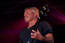 Beach and Roll, Concert