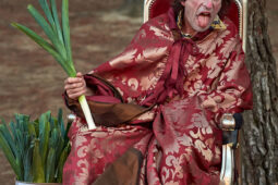 Cie Bruitquicourt, Spectacle