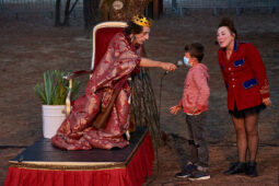 Cie Bruitquicourt, Spectacle, Public