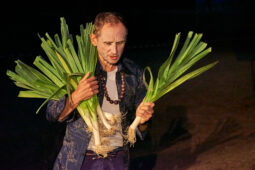 Cie Bruitquicourt, Spectacle