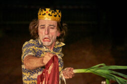 Cie Bruitquicourt, Spectacle