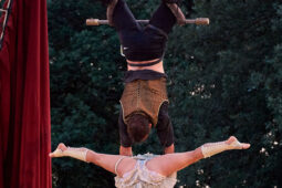 Cie Les P'tits Bras, Spectacle