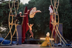 Cie Les P'tits Bras, Spectacle