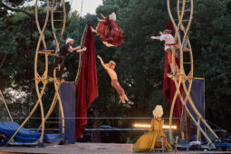 Cie Les P'tits Bras, Spectacle