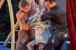 Cie Les P'tits Bras, Spectacle