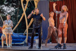 Cie Les P'tits Bras, Spectacle