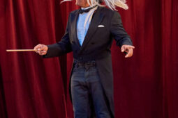 Cie Les P'tits Bras, Spectacle