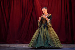 Cie Les P'tits Bras, Spectacle