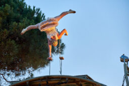 Cie Les P'tits Bras, Spectacle