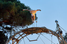 Cie Les P'tits Bras, Spectacle