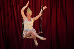Cie Les P'tits Bras, Spectacle