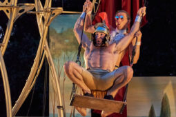 Cie Les P'tits Bras, Spectacle