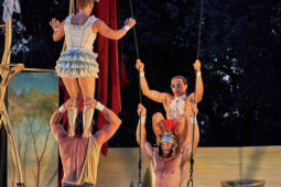 Cie Les P'tits Bras, Spectacle