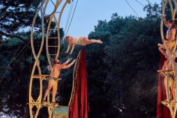 Cie Les P'tits Bras, Spectacle