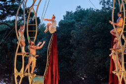 Cie Les P'tits Bras, Spectacle