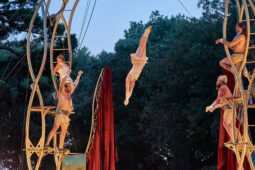 Cie Les P'tits Bras, Spectacle