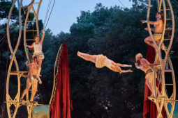 Cie Les P'tits Bras, Spectacle