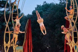 Cie Les P'tits Bras, Spectacle