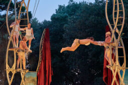 Cie Les P'tits Bras, Spectacle