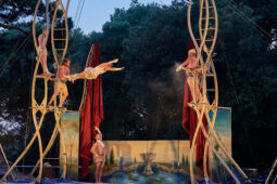 Cie Les P'tits Bras, Spectacle