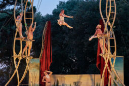 Cie Les P'tits Bras, Spectacle